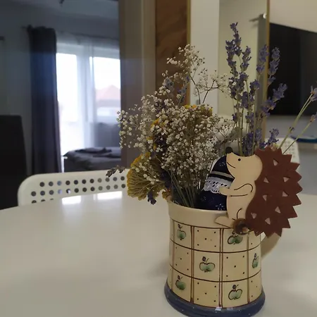 Sweet Life Appartamento Hajdúszoboszló